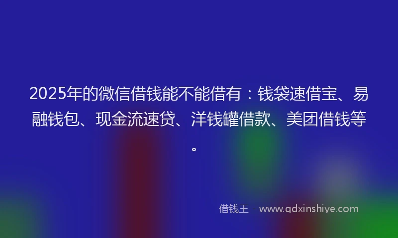 2025年的微信借钱能不能借有：钱袋速借宝、易融钱包、现金流速贷、洋钱罐借款、美团借钱等。