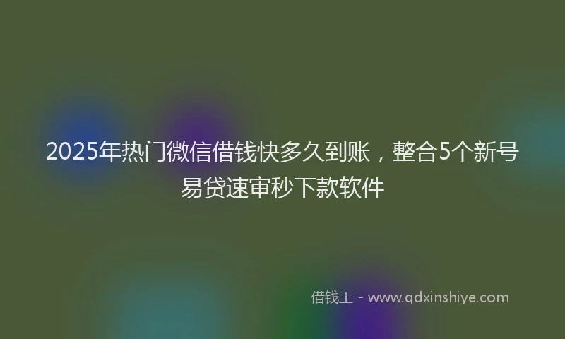 2025年热门微信借钱快多久到账，整合5个新号易贷速审秒下款软件