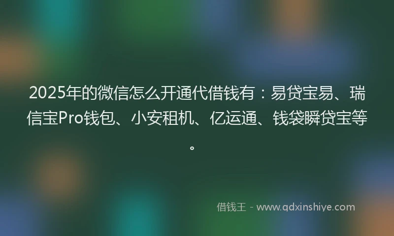 2025年的微信怎么开通代借钱有：易贷宝易、瑞信宝Pro钱包、小安租机、亿运通、钱袋瞬贷宝等。