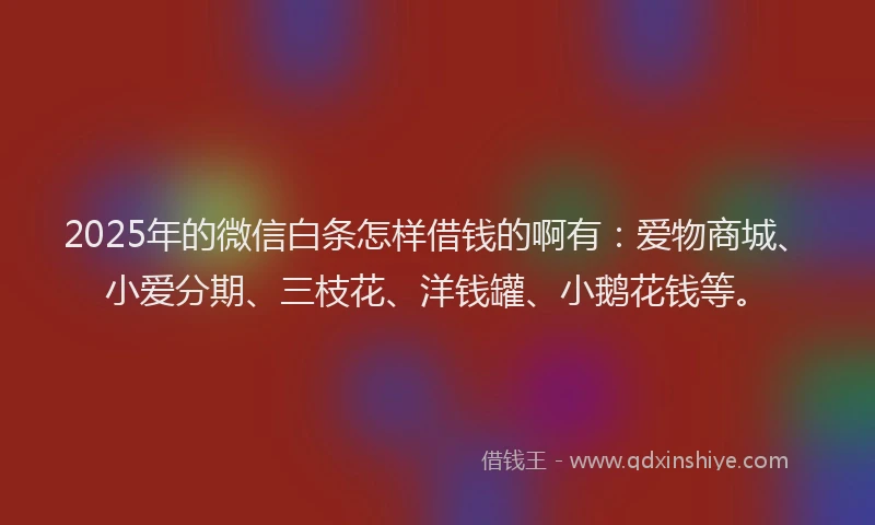 2025年的微信白条怎样借钱的啊有：爱物商城、小爱分期、三枝花、洋钱罐、小鹅花钱等。