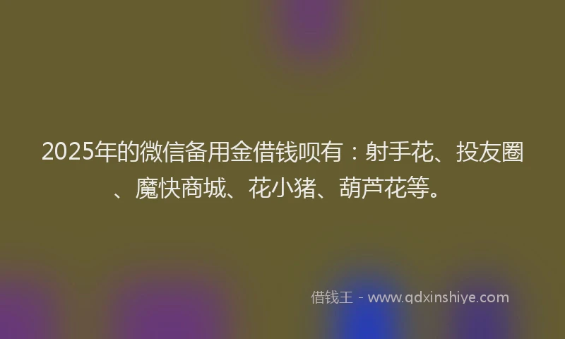 2025年的微信备用金借钱呗有：射手花、投友圈、魔快商城、花小猪、葫芦花等。