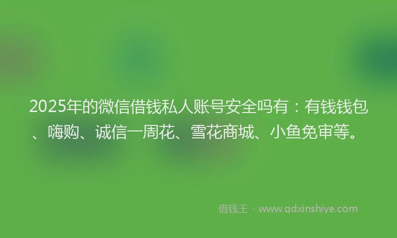 2025年的微信借钱私人账号安全吗有：有钱钱包、嗨购、诚信一周花、雪花商城、小鱼免审等。