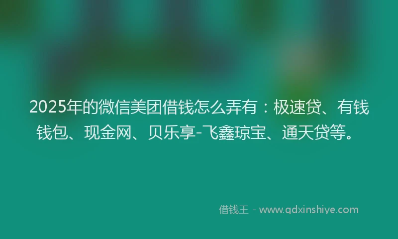 2025年的微信美团借钱怎么弄有：极速贷、有钱钱包、现金网、贝乐享-飞鑫琼宝、通天贷等。