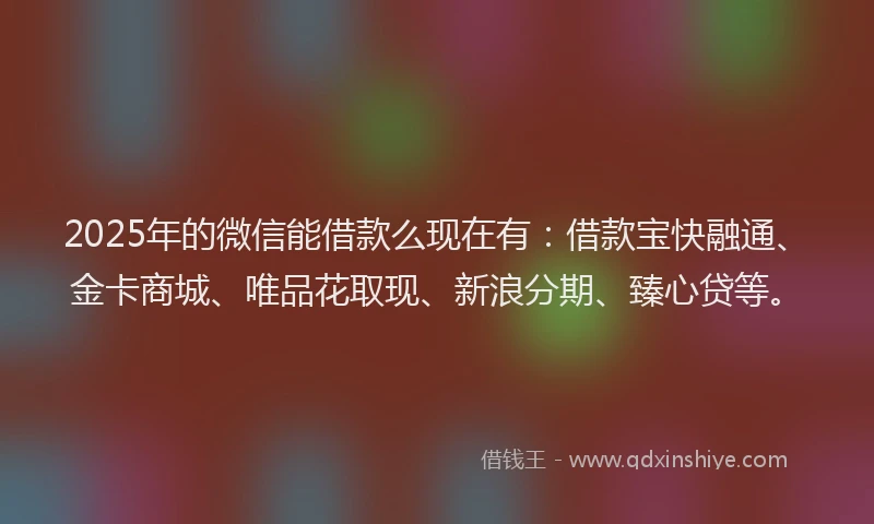 2025年的微信能借款么现在有：借款宝快融通、金卡商城、唯品花取现、新浪分期、臻心贷等。