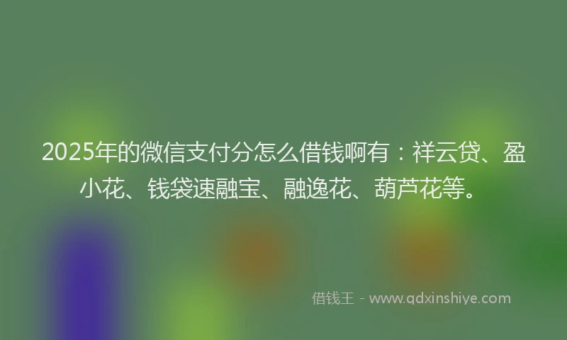 2025年的微信支付分怎么借钱啊有：祥云贷、盈小花、钱袋速融宝、融逸花、葫芦花等。