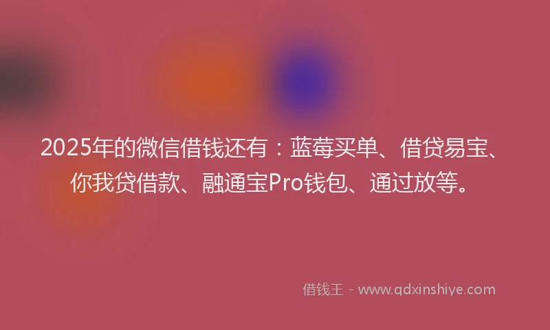 2025年的微信借钱还有：蓝莓买单、借贷易宝、你我贷借款、融通宝Pro钱包、通过放等。