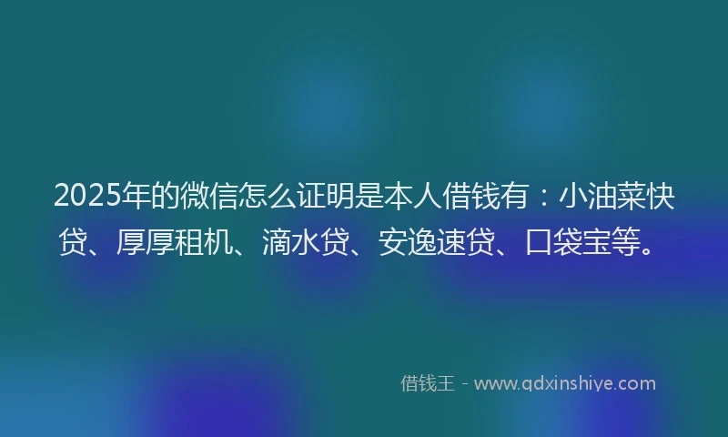 2025年的微信怎么证明是本人借钱有：小油菜快贷、厚厚租机、滴水贷、安逸速贷、口袋宝等。