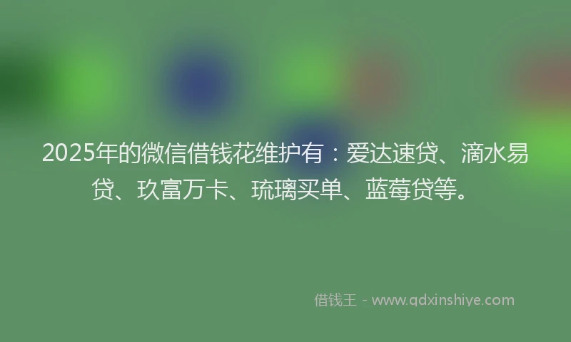 2025年的微信借钱花维护有：爱达速贷、滴水易贷、玖富万卡、琉璃买单、蓝莓贷等。