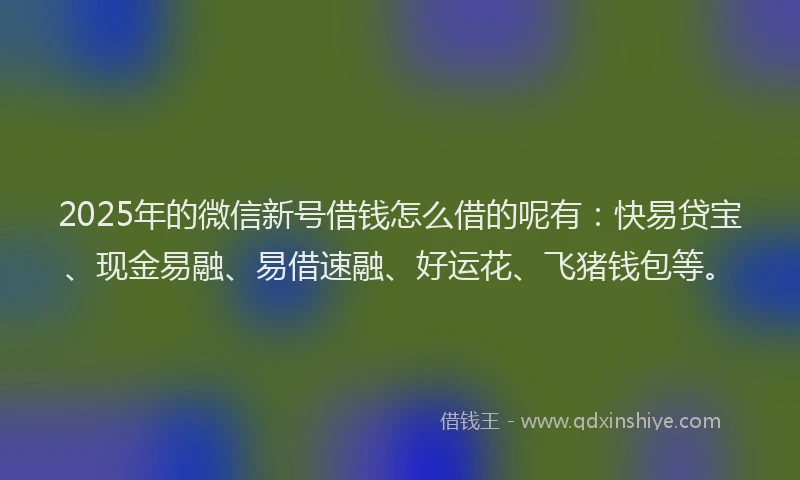 2025年的微信新号借钱怎么借的呢有：快易贷宝、现金易融、易借速融、好运花、飞猪钱包等。