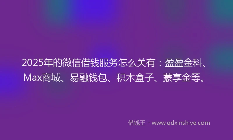 2025年的微信借钱服务怎么关有：盈盈金科、Max商城、易融钱包、积木盒子、蒙享金等。
