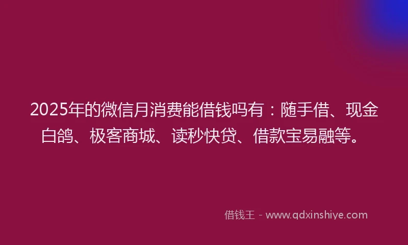 2025年的微信月消费能借钱吗有：随手借、现金白鸽、极客商城、读秒快贷、借款宝易融等。