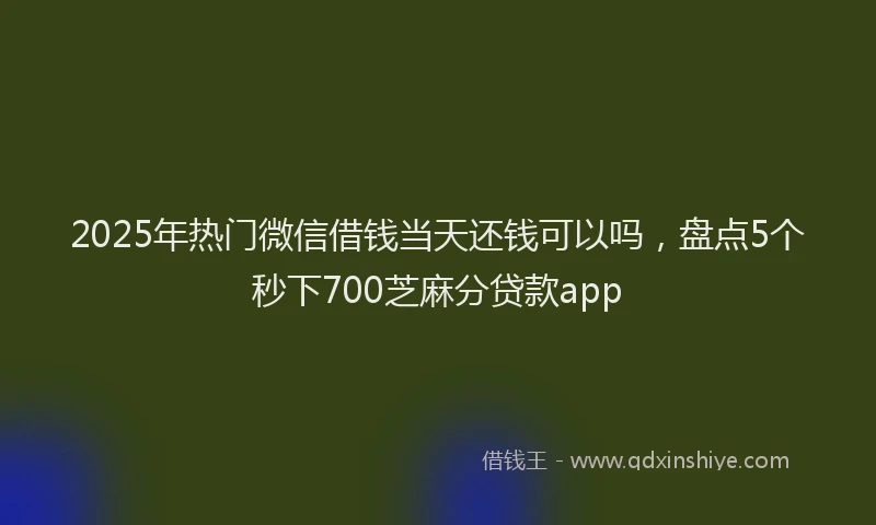2025年热门微信借钱当天还钱可以吗，盘点5个秒下700芝麻分贷款app