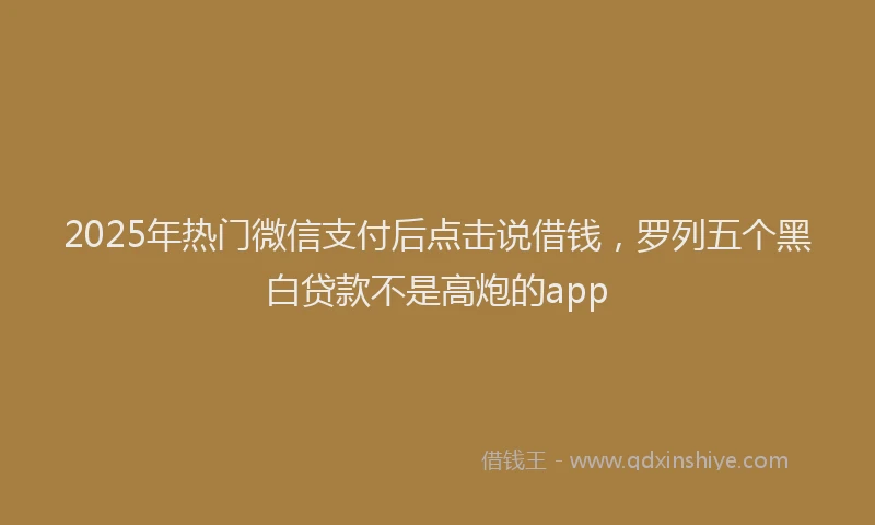 2025年热门微信支付后点击说借钱，罗列五个黑白贷款不是高炮的app