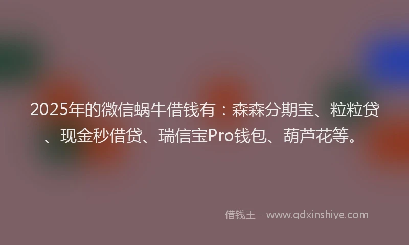 2025年的微信蜗牛借钱有：森森分期宝、粒粒贷、现金秒借贷、瑞信宝Pro钱包、葫芦花等。