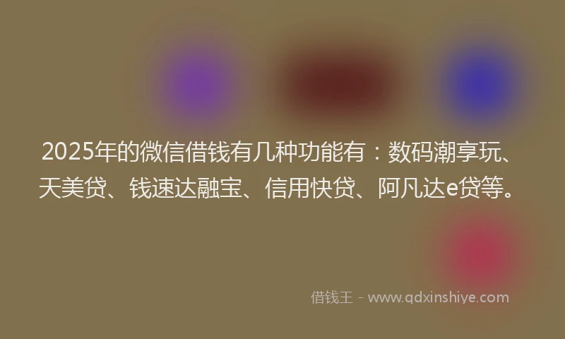 2025年的微信借钱有几种功能有：数码潮享玩、天美贷、钱速达融宝、信用快贷、阿凡达e贷等。
