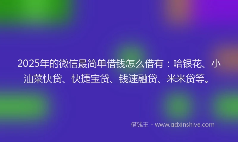 2025年的微信最简单借钱怎么借有：哈银花、小油菜快贷、快捷宝贷、钱速融贷、米米贷等。