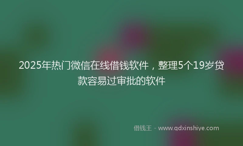2025年热门微信在线借钱软件，整理5个19岁贷款容易过审批的软件