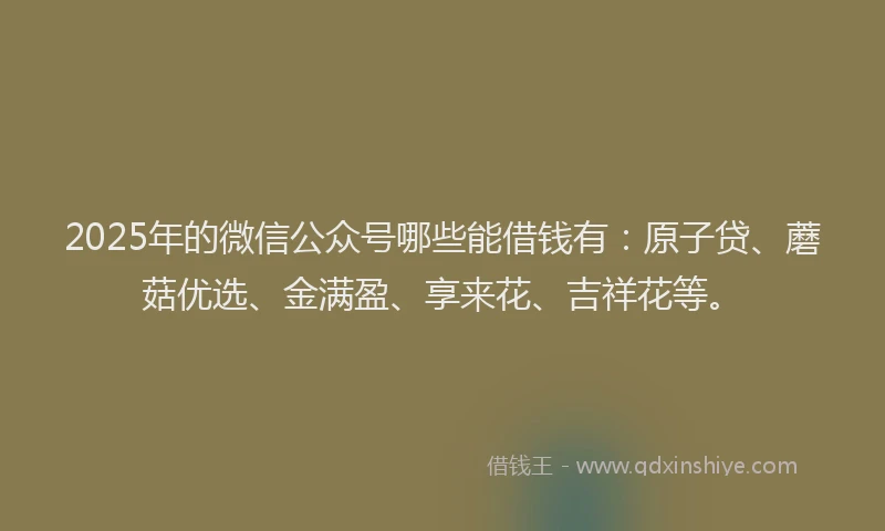 2025年的微信公众号哪些能借钱有：原子贷、蘑菇优选、金满盈、享来花、吉祥花等。