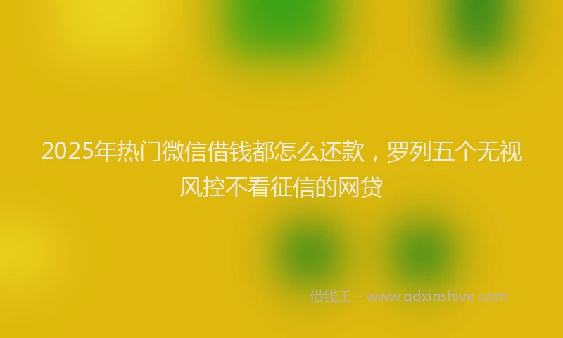 2025年热门微信借钱都怎么还款，罗列五个无视风控不看征信的网贷