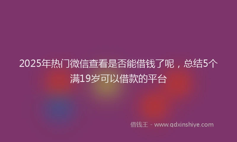 2025年热门微信查看是否能借钱了呢，总结5个满19岁可以借款的平台