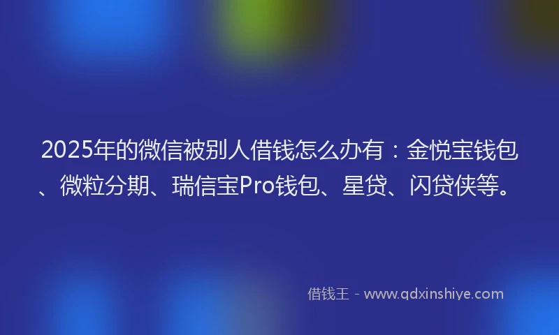 2025年的微信被别人借钱怎么办有：金悦宝钱包、微粒分期、瑞信宝Pro钱包、星贷、闪贷侠等。