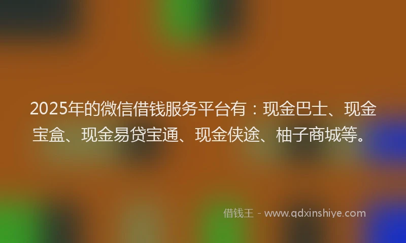 2025年的微信借钱服务平台有：现金巴士、现金宝盒、现金易贷宝通、现金侠途、柚子商城等。