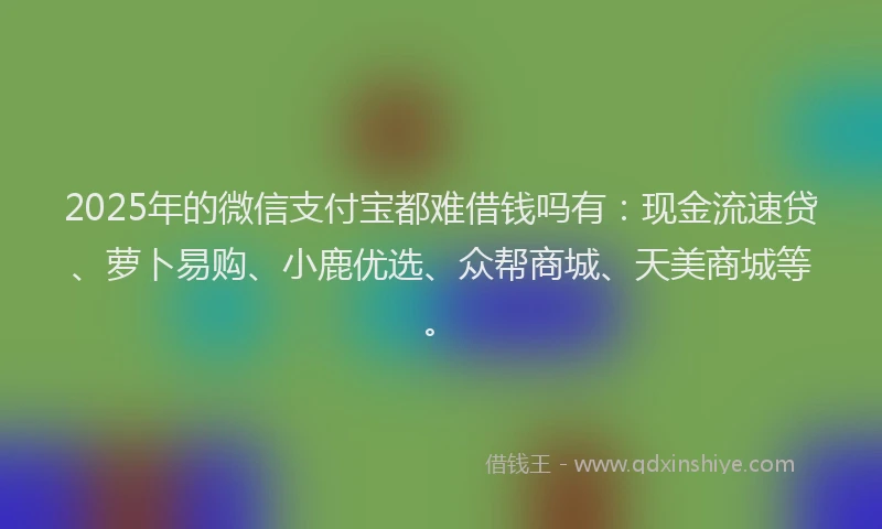 2025年的微信支付宝都难借钱吗有：现金流速贷、萝卜易购、小鹿优选、众帮商城、天美商城等。