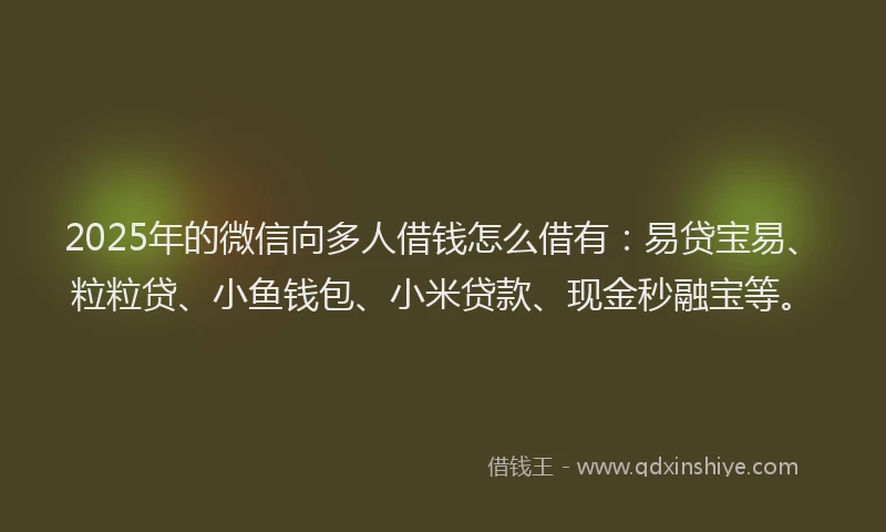 2025年的微信向多人借钱怎么借有：易贷宝易、粒粒贷、小鱼钱包、小米贷款、现金秒融宝等。