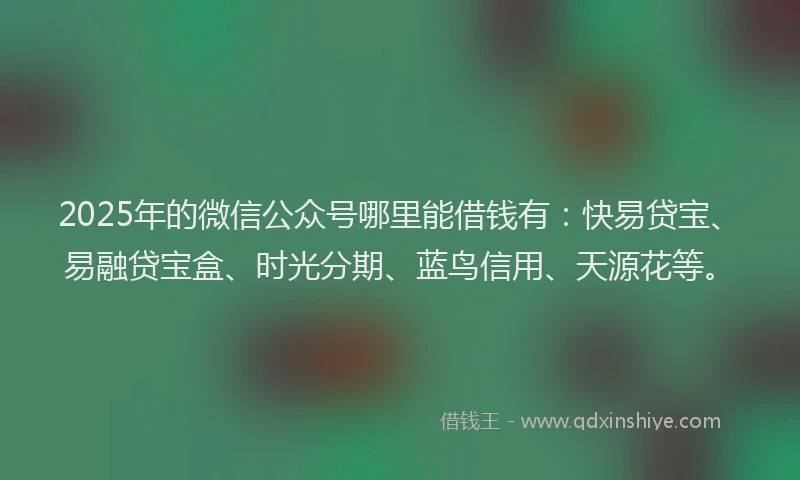 2025年的微信公众号哪里能借钱有：快易贷宝、易融贷宝盒、时光分期、蓝鸟信用、天源花等。