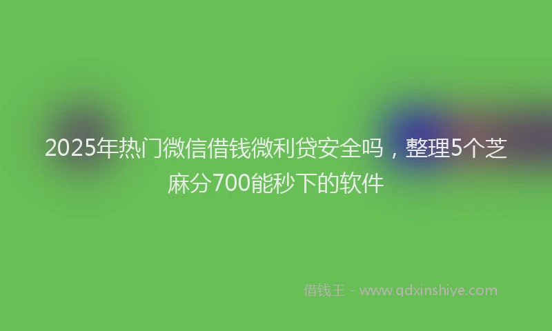 2025年热门微信借钱微利贷安全吗，整理5个芝麻分700能秒下的软件