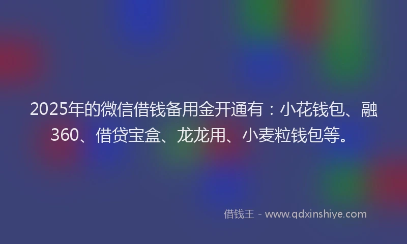 2025年的微信借钱备用金开通有：小花钱包、融360、借贷宝盒、龙龙用、小麦粒钱包等。