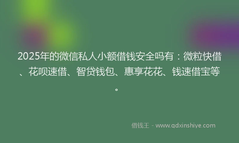2025年的微信私人小额借钱安全吗有：微粒快借、花呗速借、智贷钱包、惠享花花、钱速借宝等。