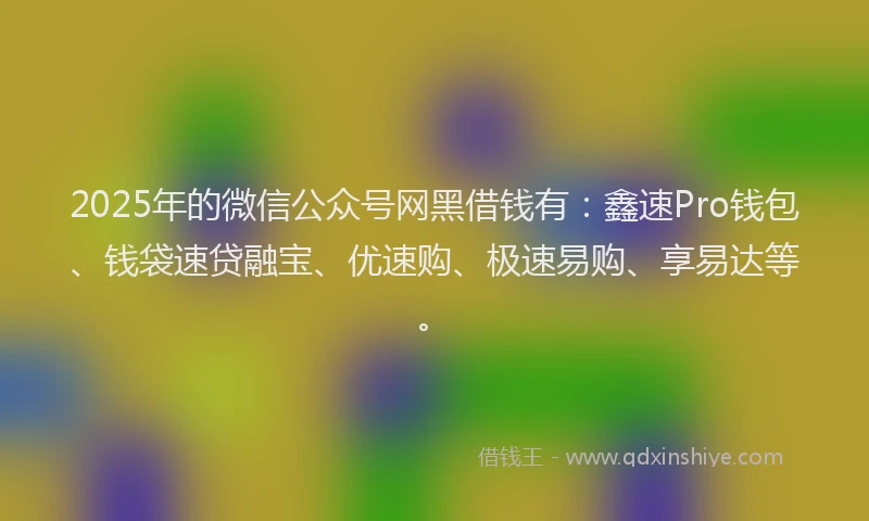 2025年的微信公众号网黑借钱有：鑫速Pro钱包、钱袋速贷融宝、优速购、极速易购、享易达等。
