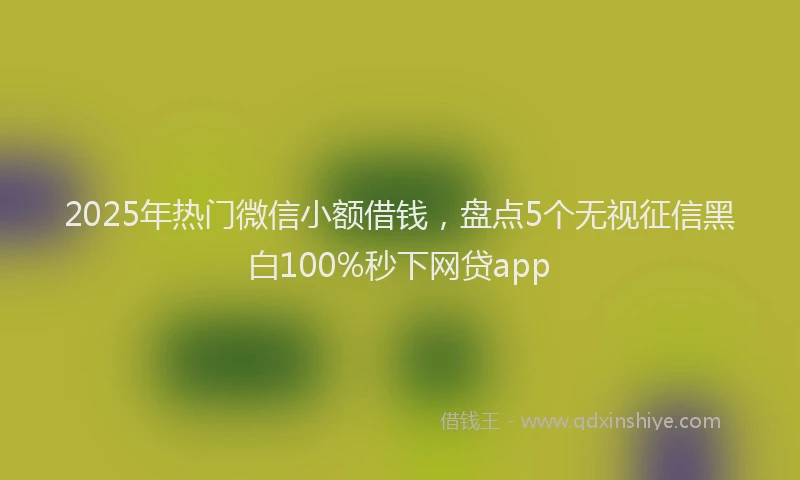 2025年热门微信小额借钱，盘点5个无视征信黑白100%秒下网贷app