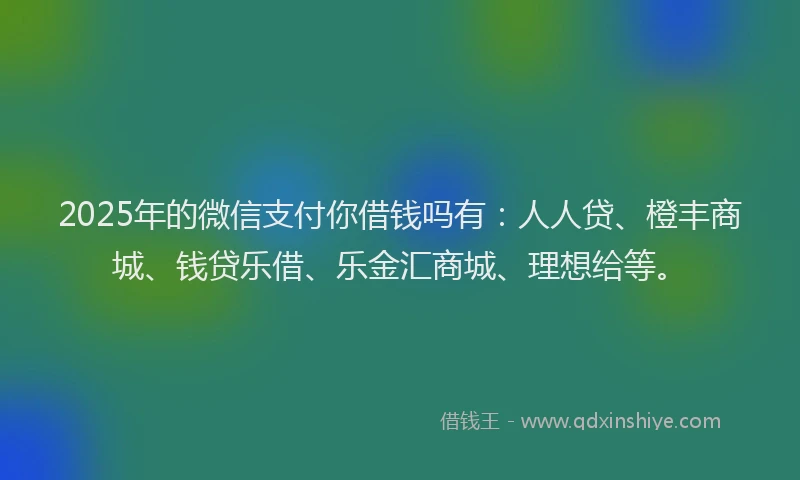 2025年的微信支付你借钱吗有：人人贷、橙丰商城、钱贷乐借、乐金汇商城、理想给等。
