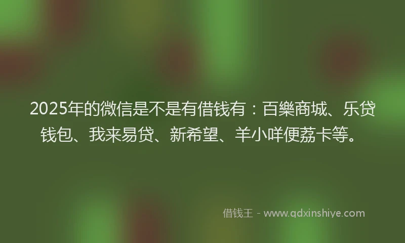 2025年的微信是不是有借钱有：百樂商城、乐贷钱包、我来易贷、新希望、羊小咩便荔卡等。