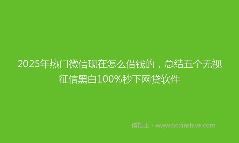 2025年热门微信现在怎么借钱的，总结五个无视征信黑白100%秒下网贷软件