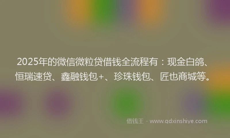 2025年的微信微粒贷借钱全流程有：现金白鸽、恒瑞速贷、鑫融钱包+、珍珠钱包、匠也商城等。