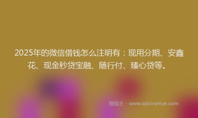 2025年的微信借钱怎么注明有：现用分期、安鑫花、现金秒贷宝融、随行付、臻心贷等。