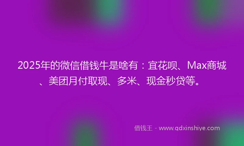 2025年的微信借钱牛是啥有：宜花呗、Max商城、美团月付取现、多米、现金秒贷等。