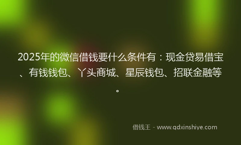 2025年的微信借钱要什么条件有：现金贷易借宝、有钱钱包、丫头商城、星辰钱包、招联金融等。