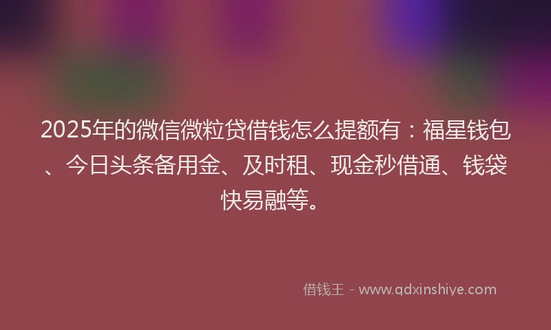 2025年的微信微粒贷借钱怎么提额有：福星钱包、今日头条备用金、及时租、现金秒借通、钱袋快易融等。