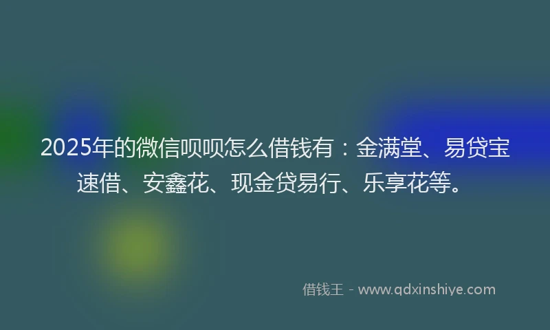 2025年的微信呗呗怎么借钱有：金满堂、易贷宝速借、安鑫花、现金贷易行、乐享花等。