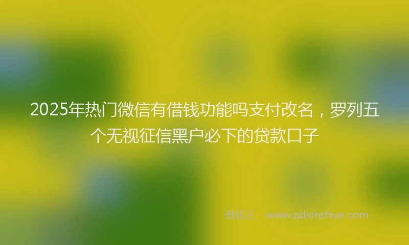 2025年热门微信有借钱功能吗支付改名，罗列五个无视征信黑户必下的贷款口子
