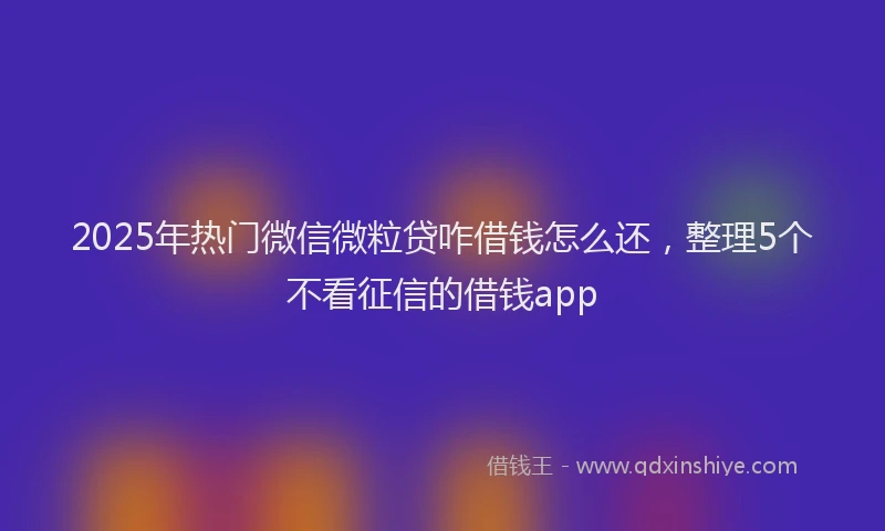 2025年热门微信微粒贷咋借钱怎么还，整理5个不看征信的借钱app
