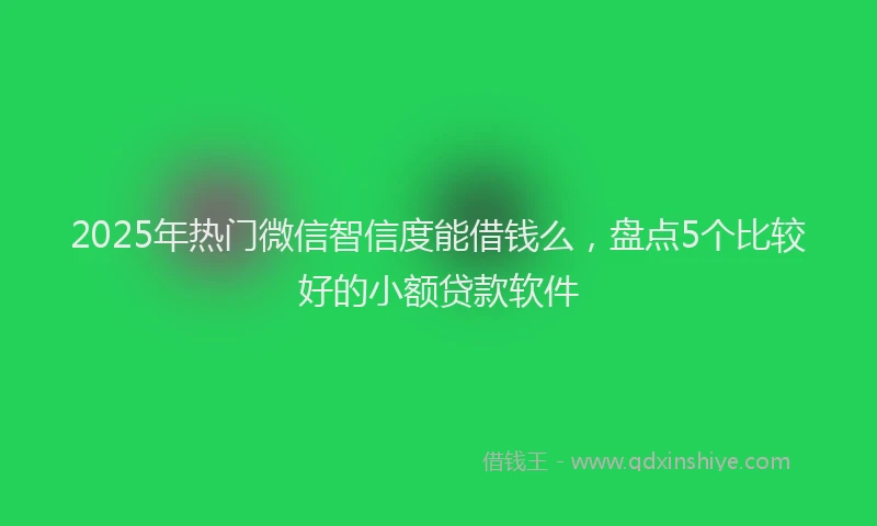 2025年热门微信智信度能借钱么，盘点5个比较好的小额贷款软件