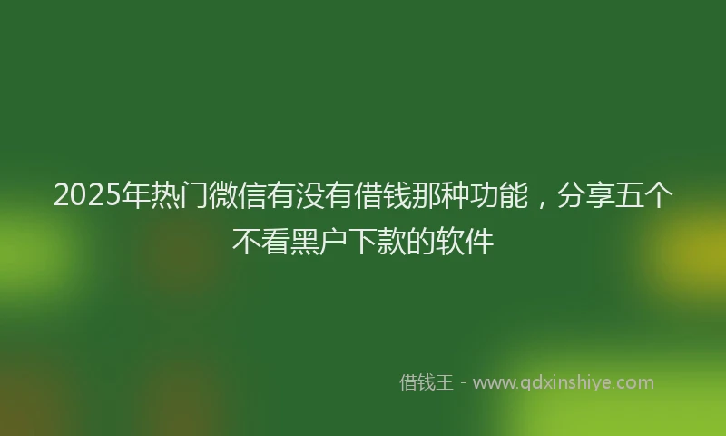 2025年热门微信有没有借钱那种功能，分享五个不看黑户下款的软件