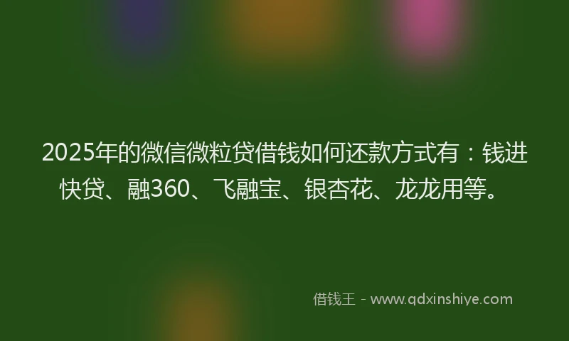 2025年的微信微粒贷借钱如何还款方式有：钱进快贷、融360、飞融宝、银杏花、龙龙用等。