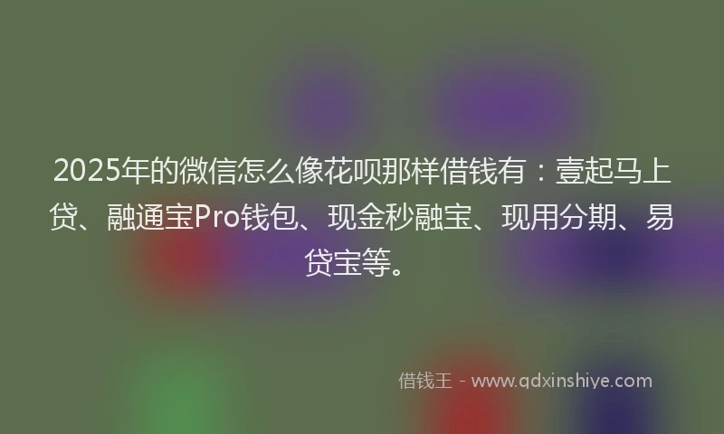 2025年的微信怎么像花呗那样借钱有：壹起马上贷、融通宝Pro钱包、现金秒融宝、现用分期、易贷宝等。