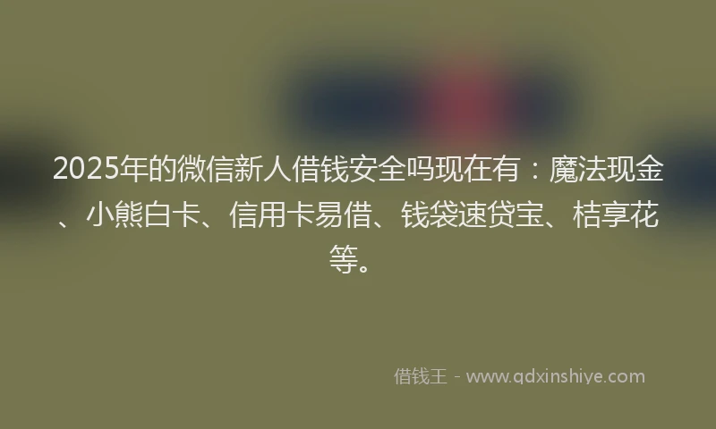 2025年的微信新人借钱安全吗现在有：魔法现金、小熊白卡、信用卡易借、钱袋速贷宝、桔享花等。